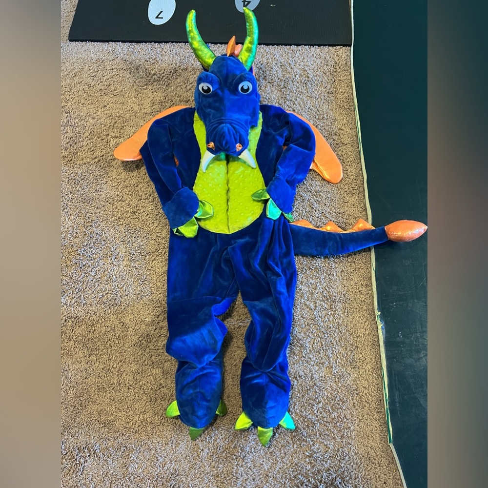Blue Dragon Kids Halloween Costume